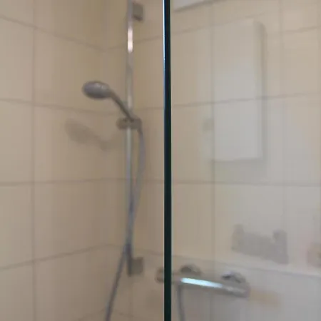 Kwi 79 Eg Seeschwalbe Im Küstenwald Graal-Mueritz