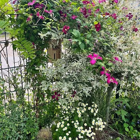 Apartment Kwi 79 Eg Seeschwalbe Im Küstenwald *