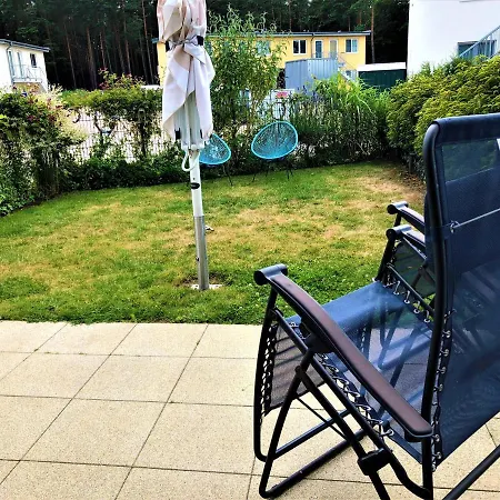 Kwi 79 Eg Seeschwalbe Im Küstenwald * Graal-Mueritz