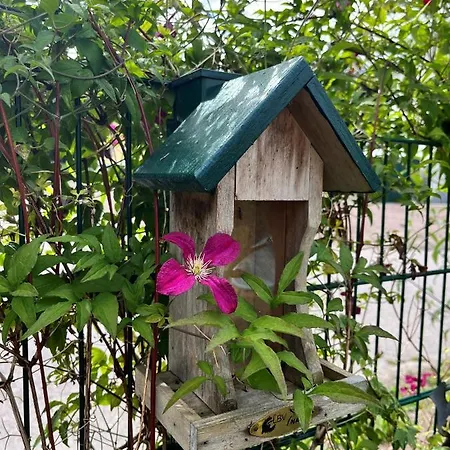 Apartment Kwi 79 Eg Seeschwalbe Im Küstenwald Graal-Mueritz